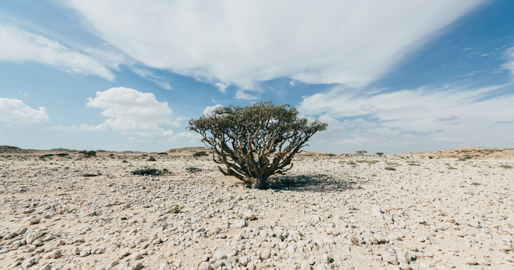 Wadi Dawkah